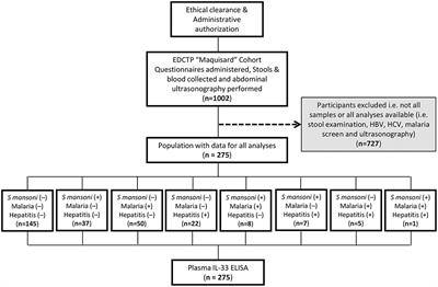 Negative Association of Interleukin-33 Plasma Levels and Schistosomiasis Infection in a Site of Polyparasitism in Rural Cameroon